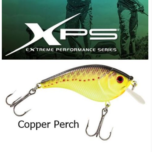 XPS Square Bill Crankbaits Chrome XXX Shad - Free Time Mania